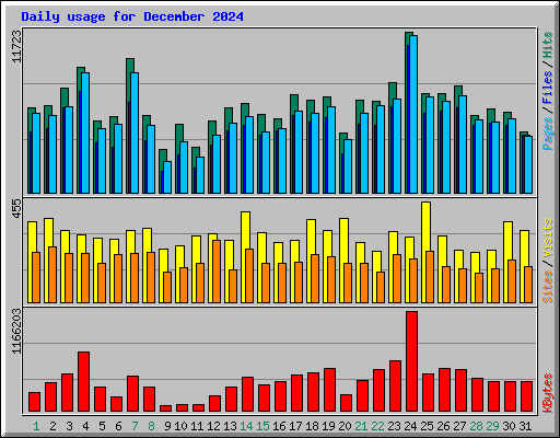 Daily usage for December 2024