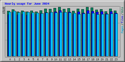 Hourly usage for June 2024