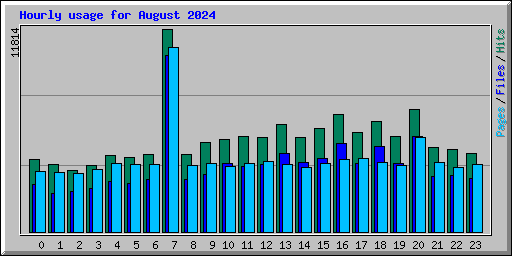 Hourly usage for August 2024