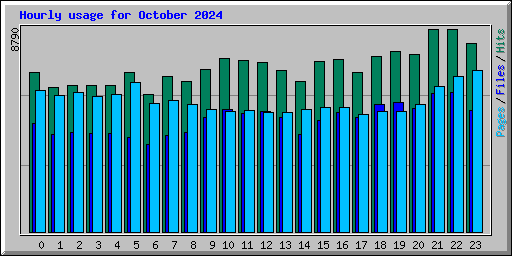 Hourly usage for October 2024