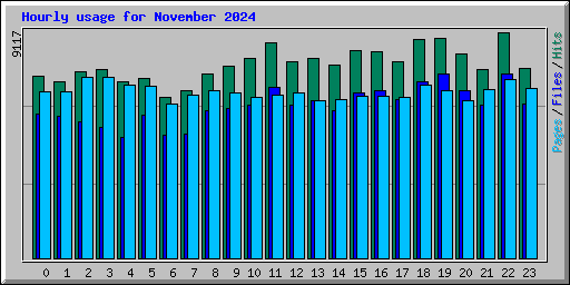 Hourly usage for November 2024