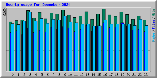 Hourly usage for December 2024