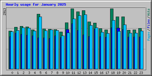 Hourly usage for January 2025